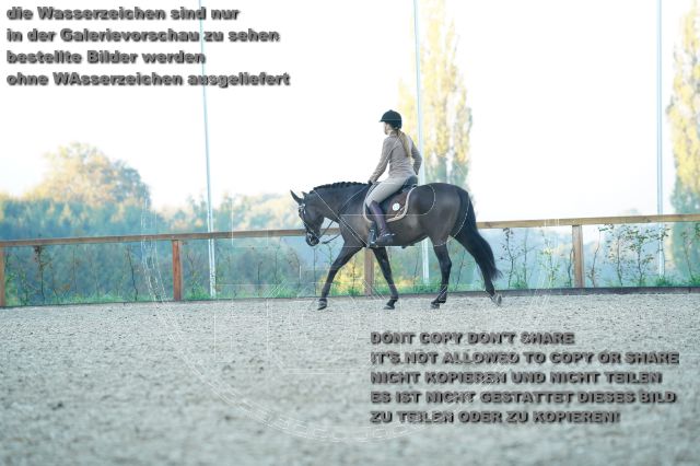 s_K3F09226.JPG